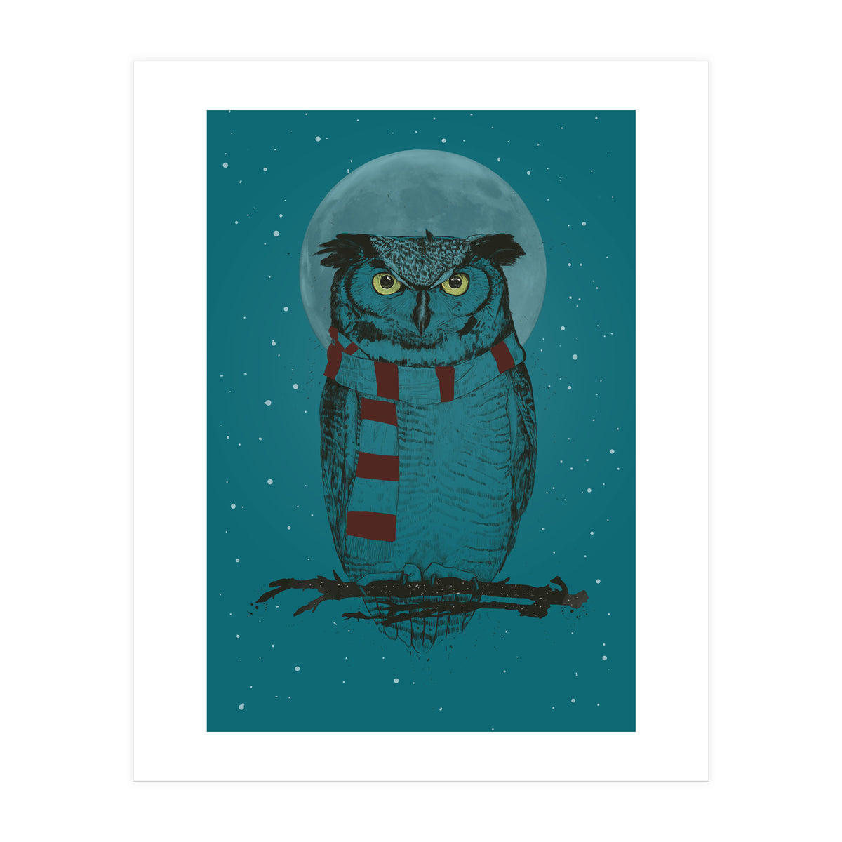 Winter Owl II (Print Only)