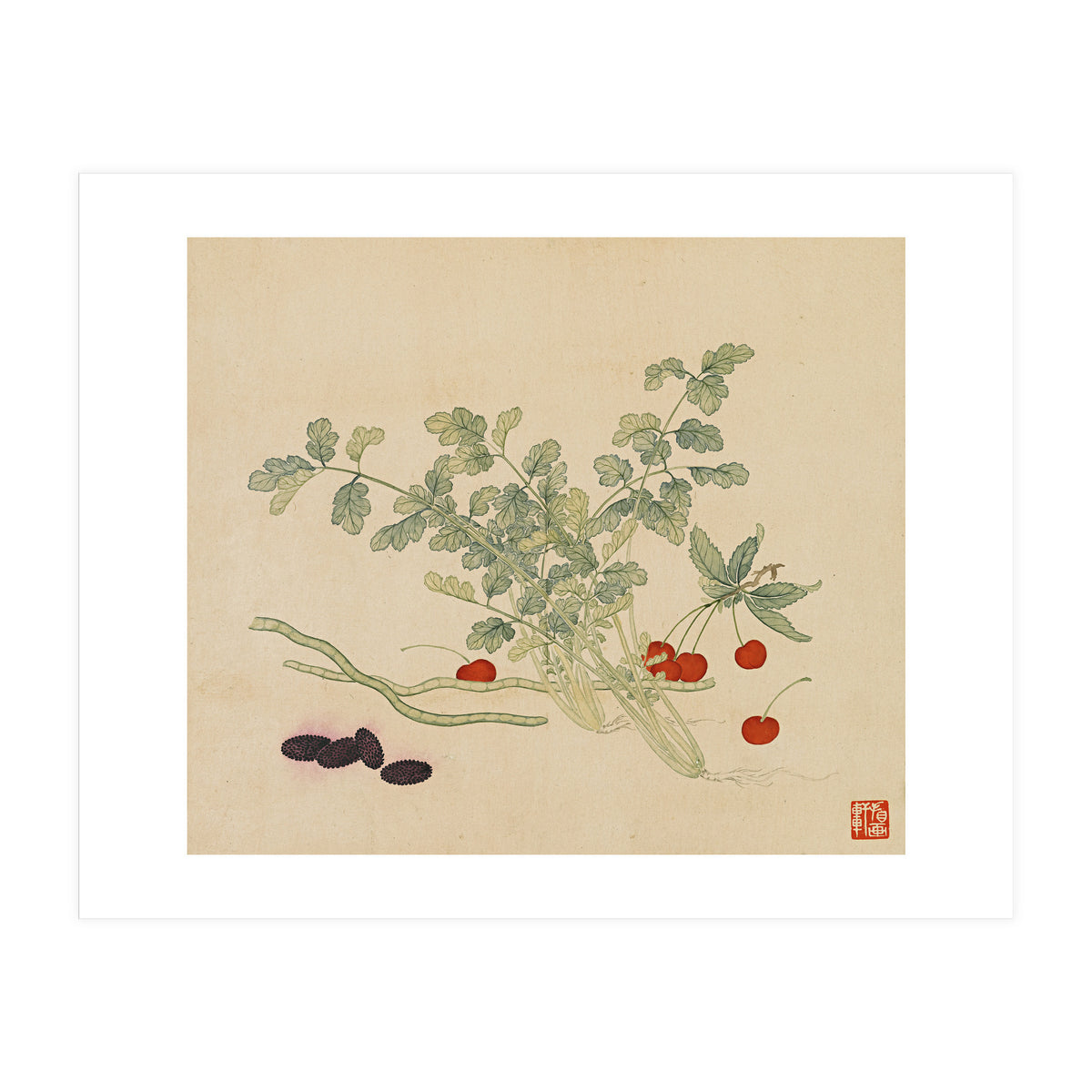 Wang Chengyu~flowers And Vegetables, Vegetables, Fruits, Beans, Red Beans, Cherries, Celery (Print Only)