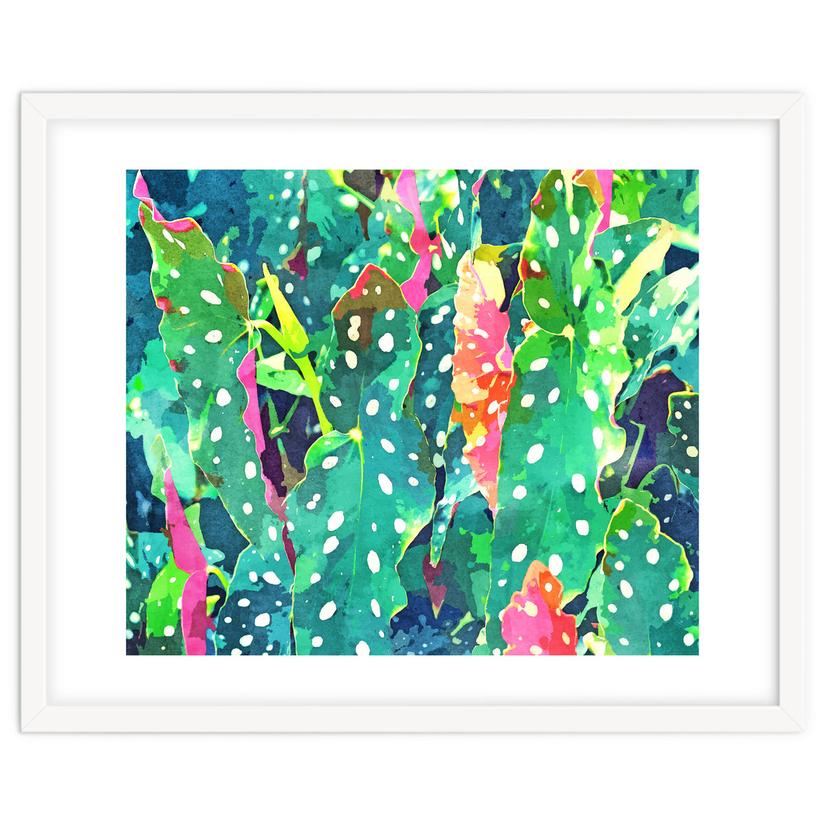 The Polka Dots Plant