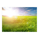 Nature (Print Only) thumbnail