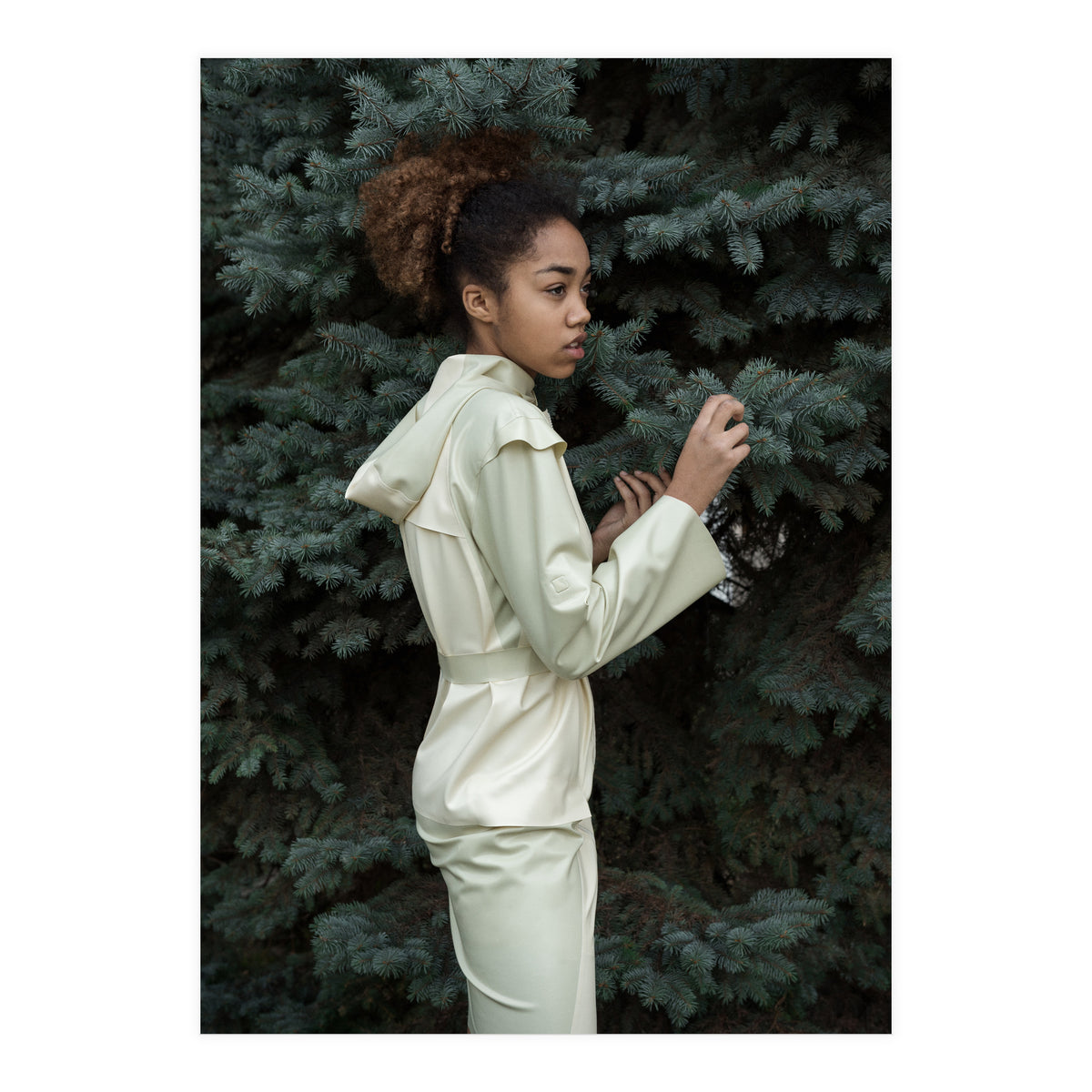 Smooth Confess (Print Only)