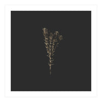 Moody Golden Botanicals - Square (Print Only)