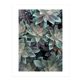 18 (Print Only) thumbnail