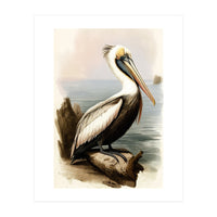 Pelican on the Shoreline Vintage Painting (Print Only)