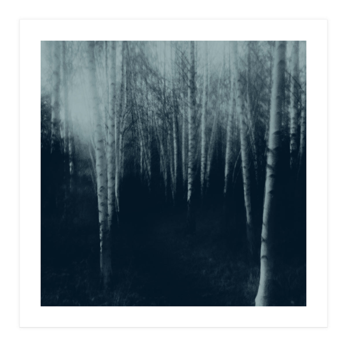 deep veins III (Print Only)