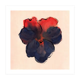 Blue Pansy (Print Only) thumbnail