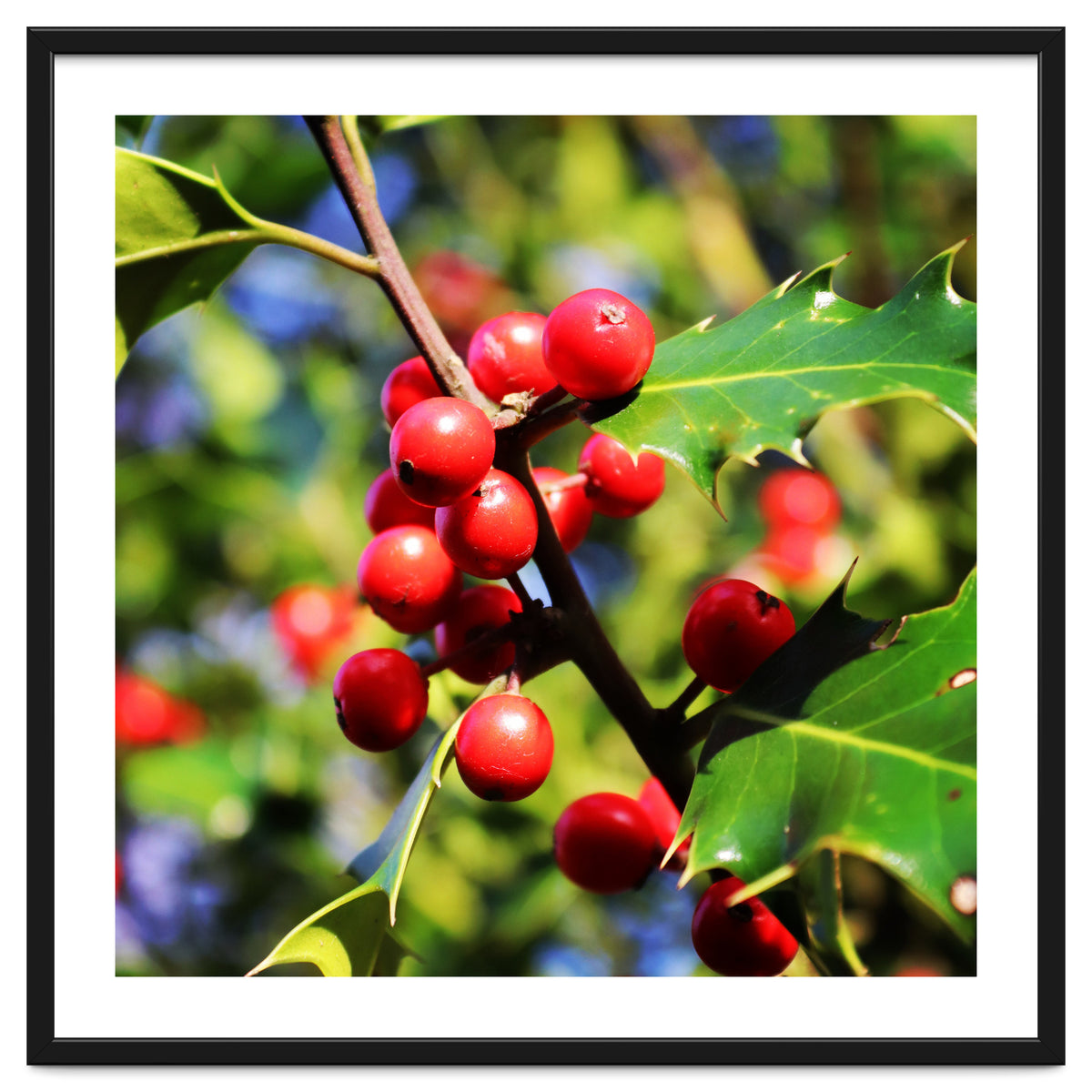 Fab454 Da 548 B 4252 8566 Cb9 Ccef07 Bda