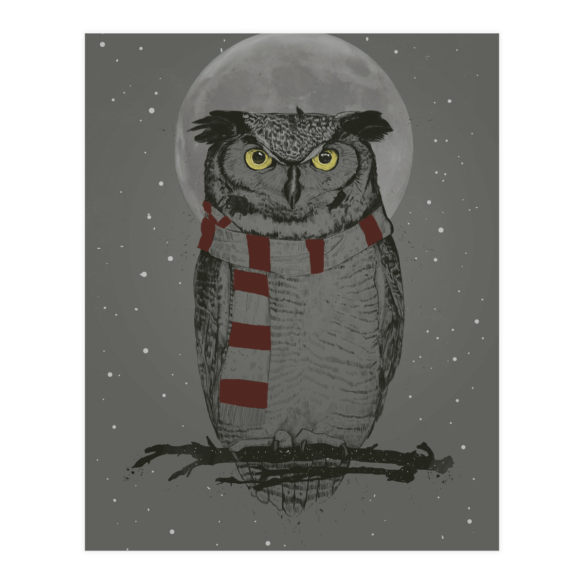 Winter Owl (Print Only)