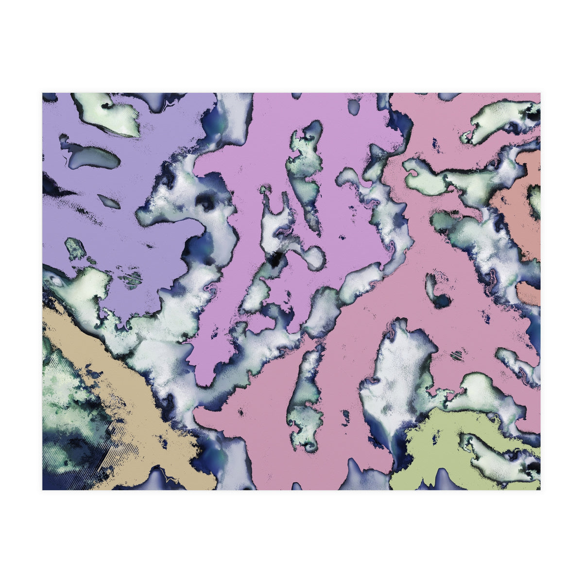 A Soft Choice (Print Only)