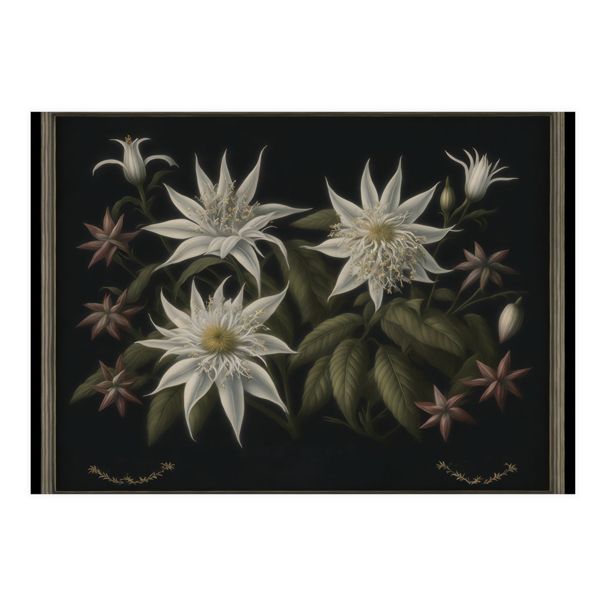 Edelweiss Vintage Illustration (Print Only)