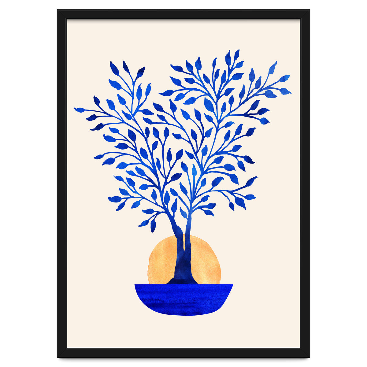 Indigo Ficus Sunrise