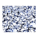 Dye Painted Waters (Print Only) thumbnail