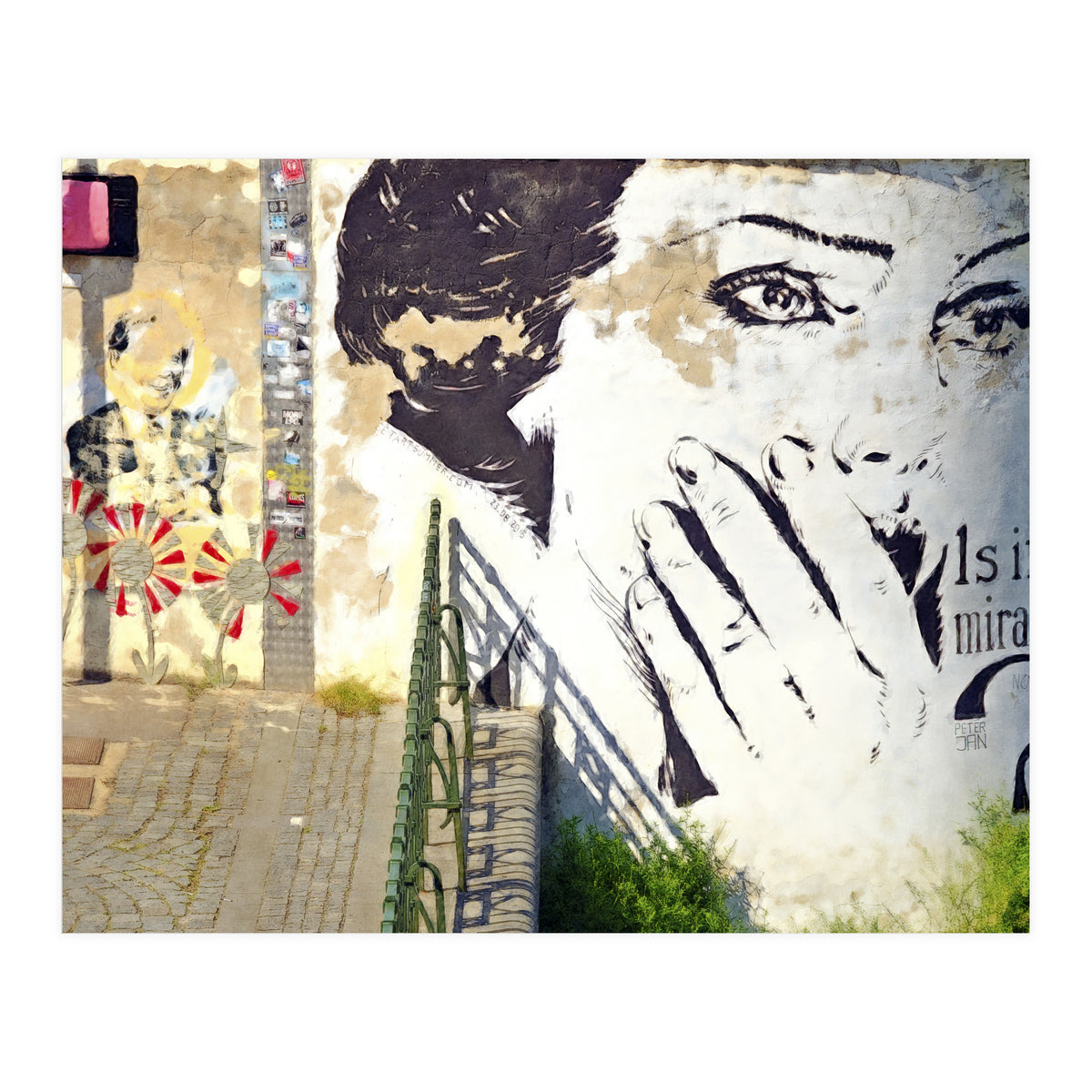 Beauty of decay (Print Only)