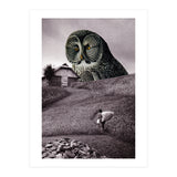 Nocturnal (Print Only) thumbnail