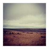 Bleak winter landscape of Saddleworth Moor  (Print Only) thumbnail