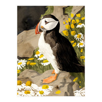 Puffin (Print Only)