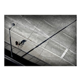 Cyclist (Print Only) thumbnail