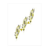 Golden Hearts (Print Only) thumbnail