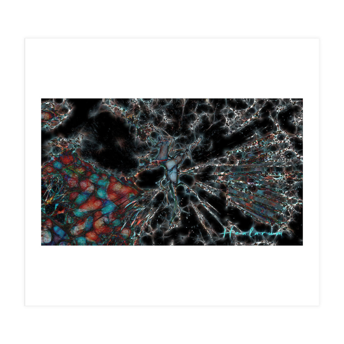 Torn Apart (Print Only)