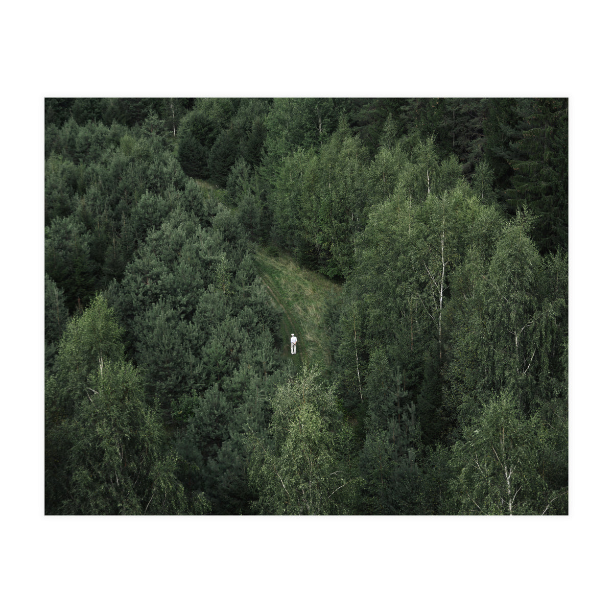 What’s The Date Today? (Print Only)