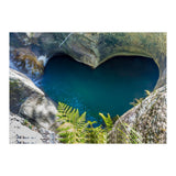 Nature (Print Only) thumbnail