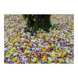 Autumn Leaves (Print Only) thumbnail