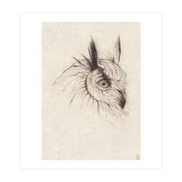 Owl (Print Only)