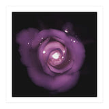 Glittering Rose (Print Only) thumbnail