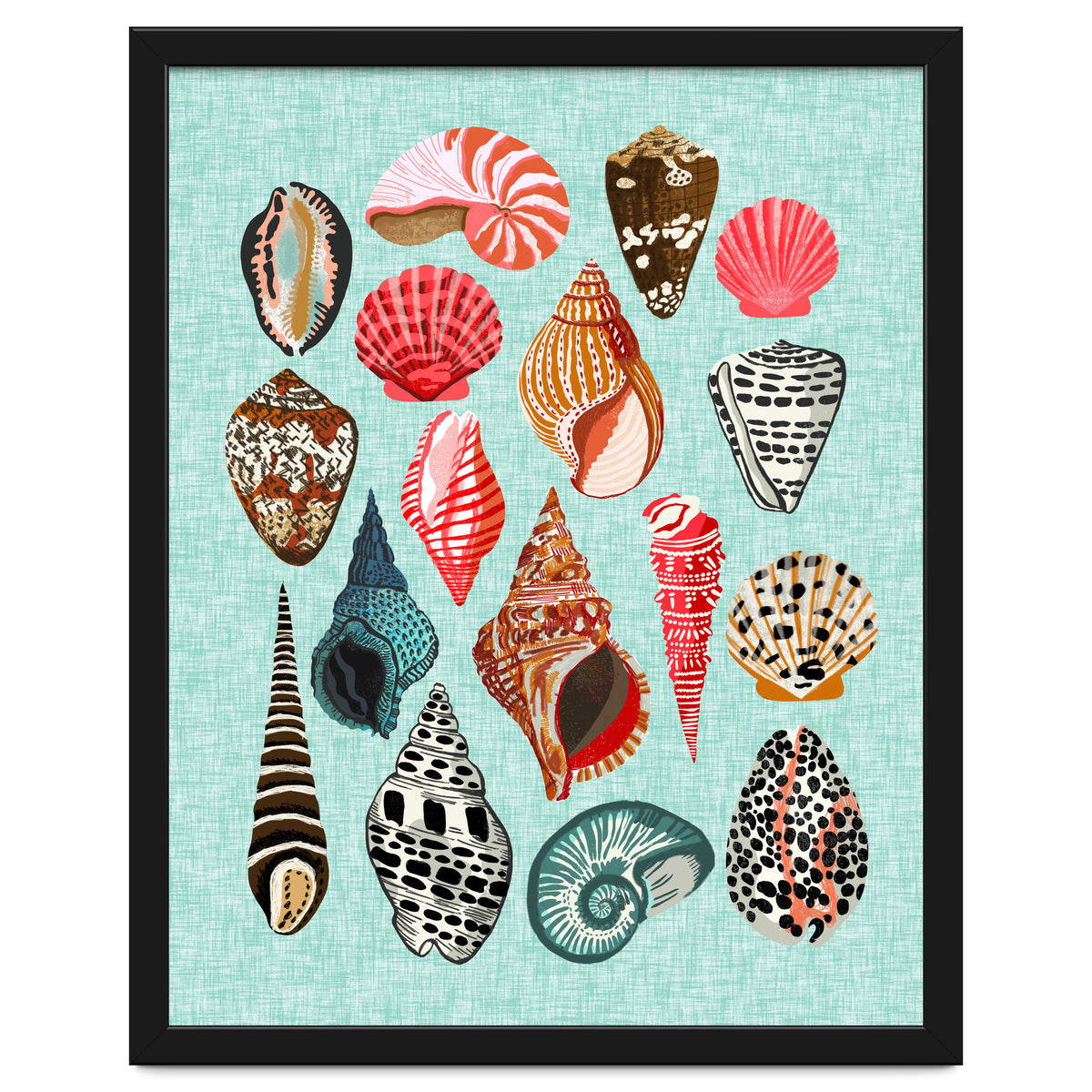 Seashells