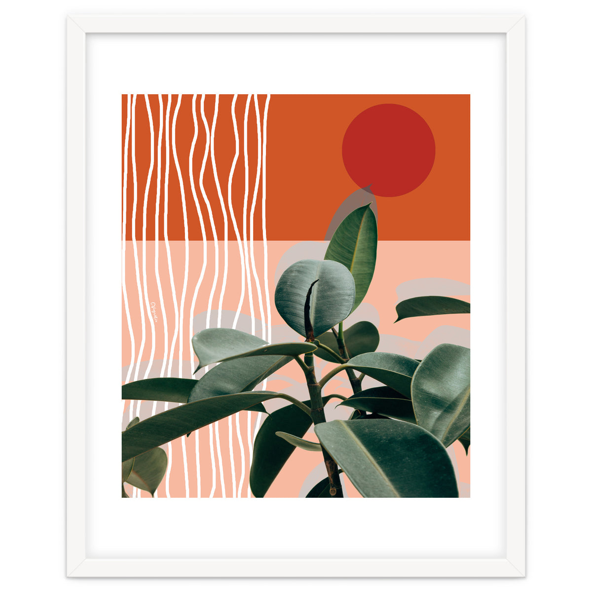 Times of a Growing Plant