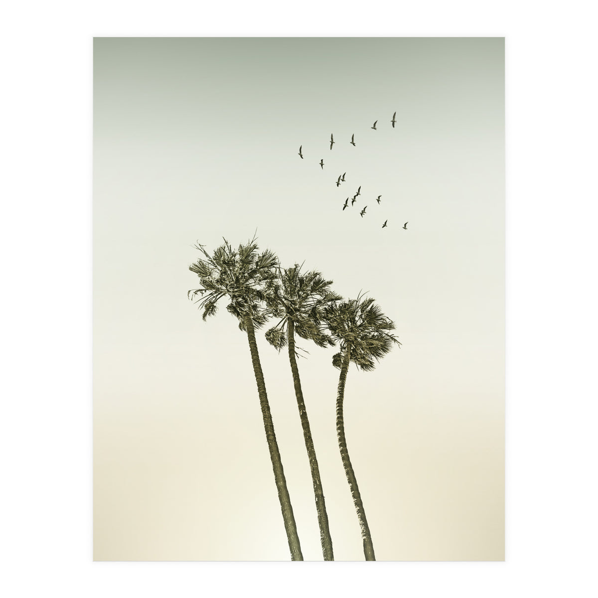 Vintage palm trees at sunset (Print Only)