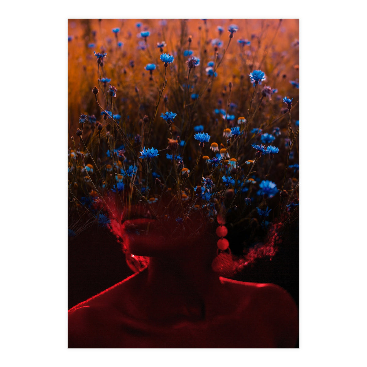 Dream Division 10 (Print Only)