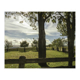 Bucolism 2 (Print Only) thumbnail