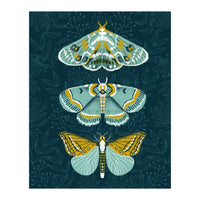 Lepidoptery8 (Print Only)