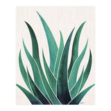 Desert Agave (Print Only) thumbnail