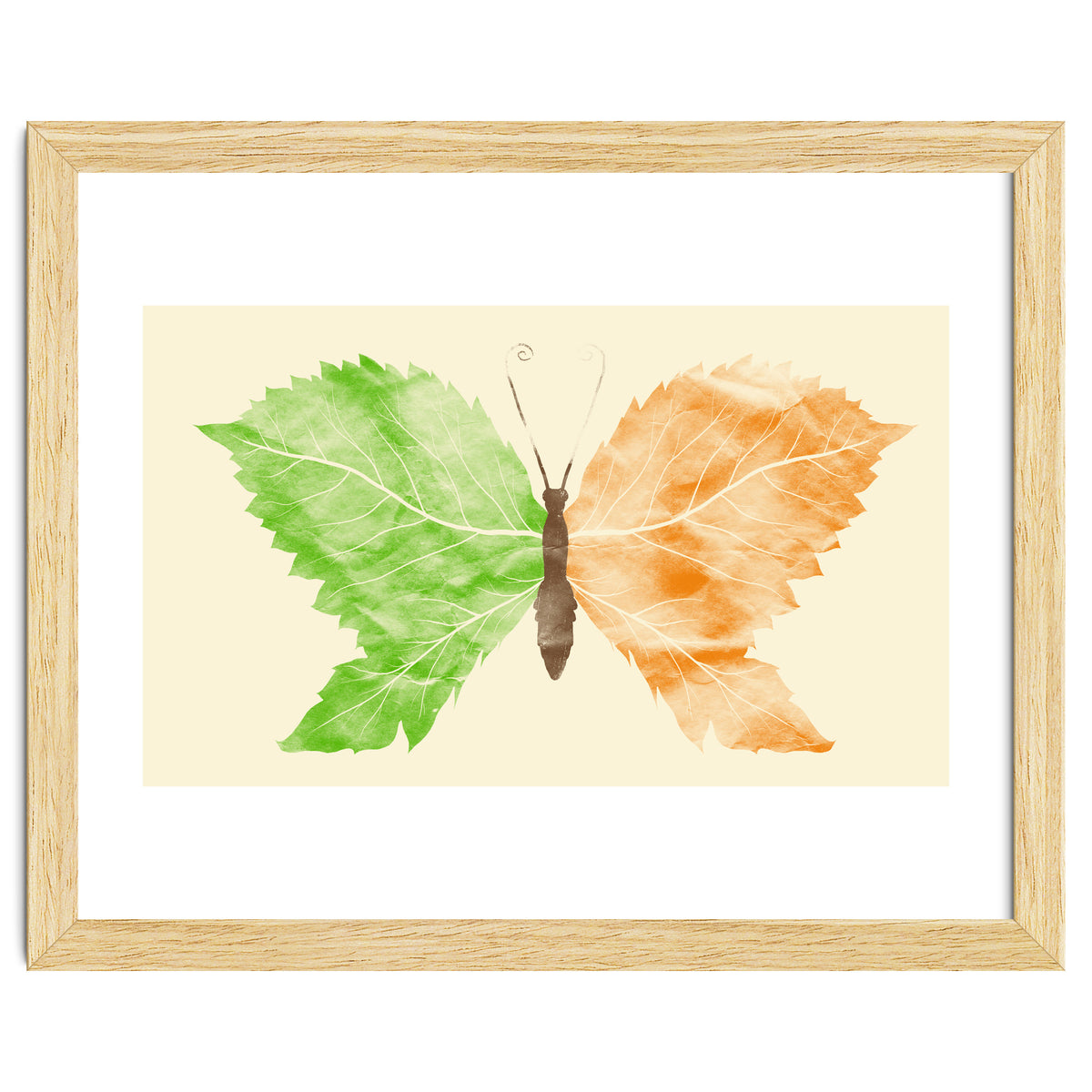 Seasons Change Time Flies