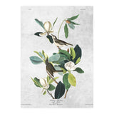 fiori e uccelli (Print Only) thumbnail