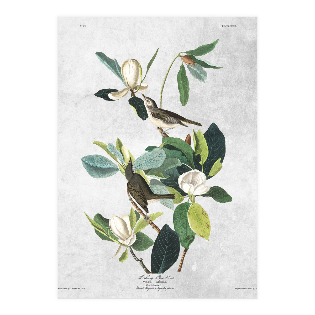 fiori e uccelli (Print Only)