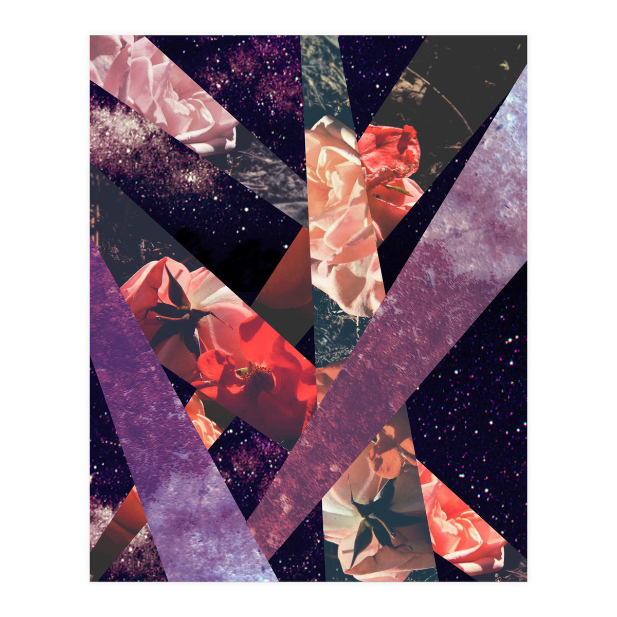 Roses In The Galaxy (Print Only)