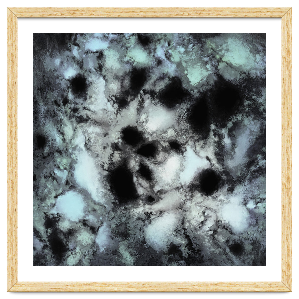 Searching For Animal Tracks