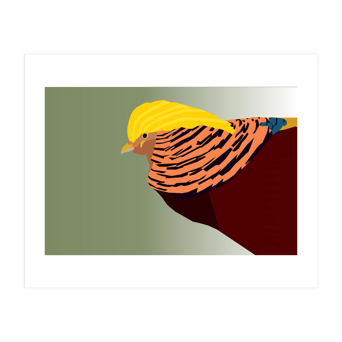 Golden Pheasant Bird Art (Print Only)