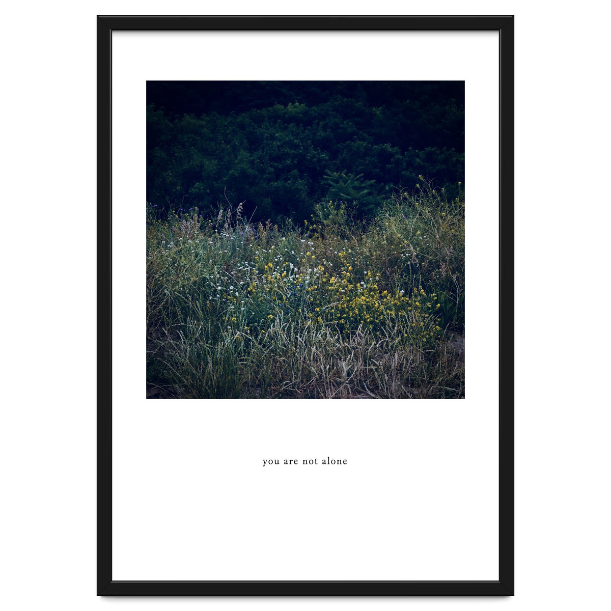 you are not alone - Nature Photography