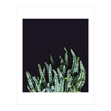 Dark Nature (Print Only) thumbnail