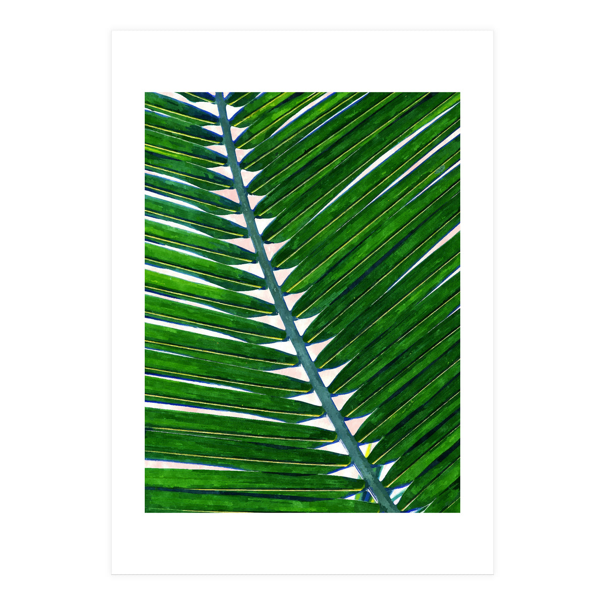 Foliage V3 (Print Only)