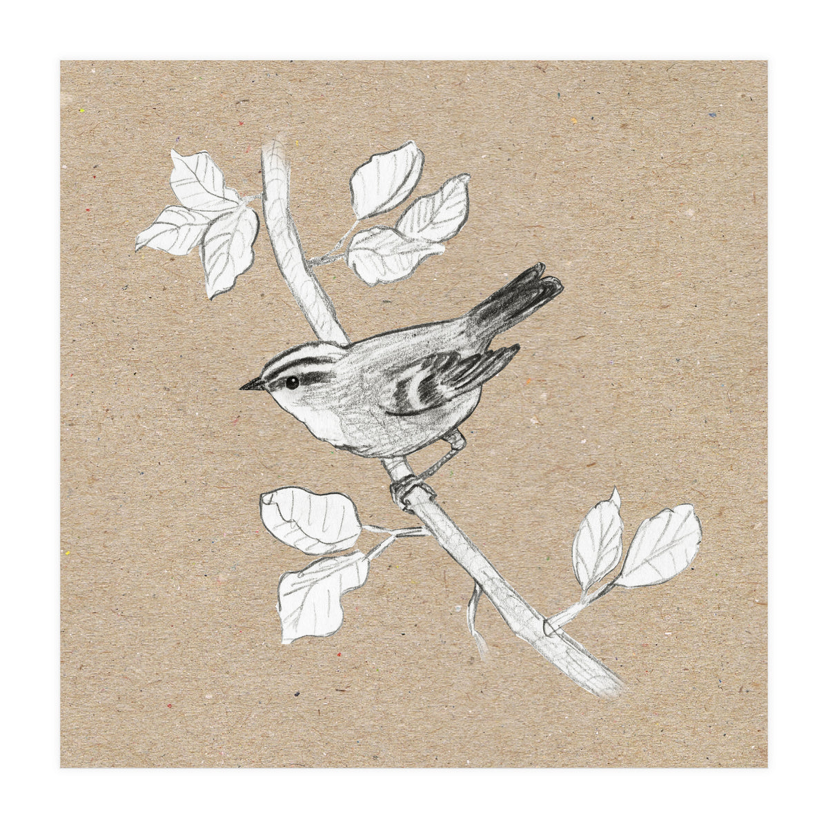 Gold crest (Print Only)