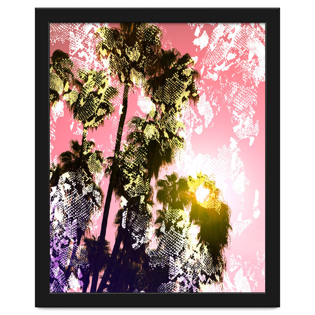 Snake sunset in paradise