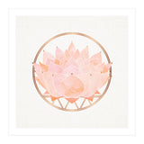 Peach Succulent  Blossom (Print Only) thumbnail