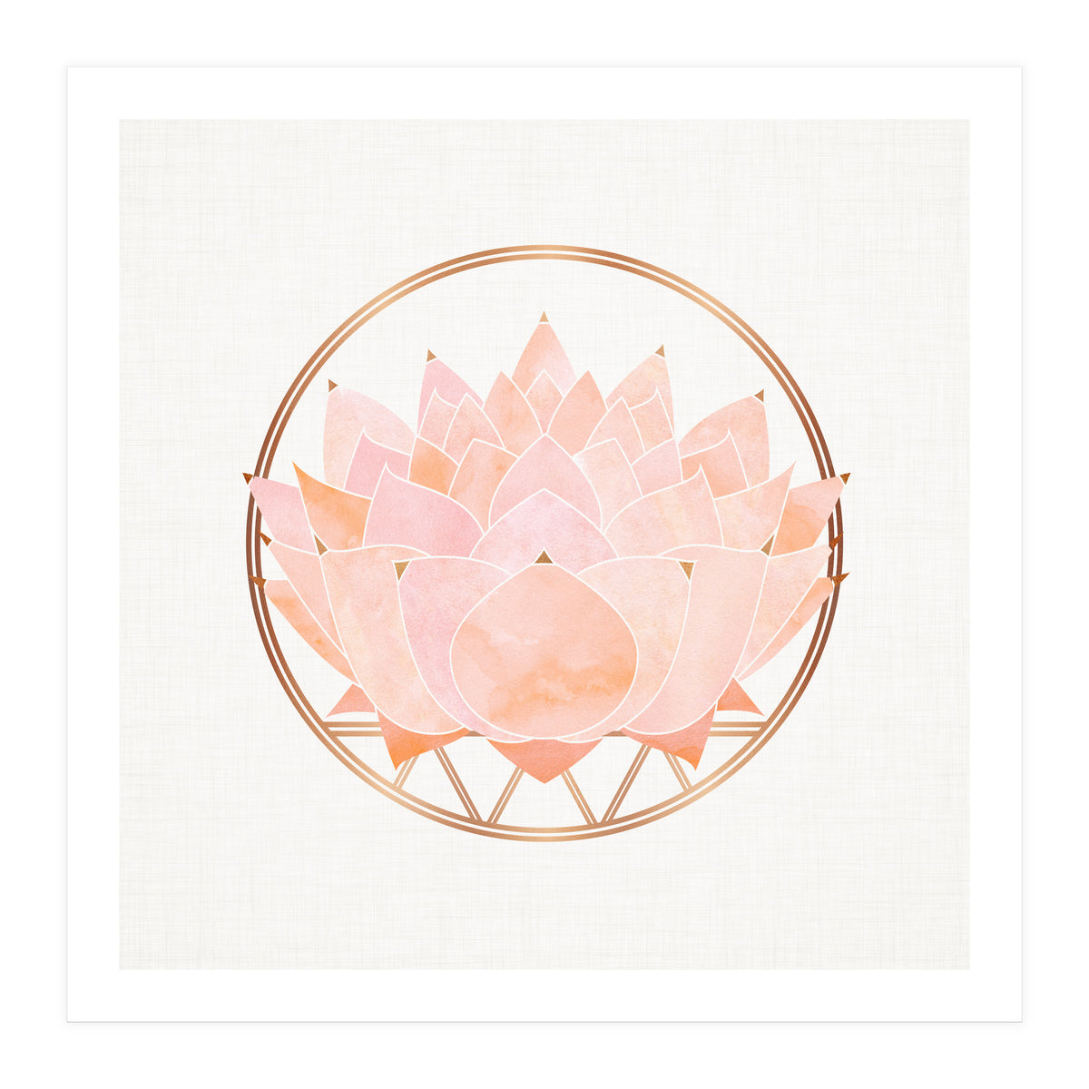 Peach Succulent  Blossom (Print Only)