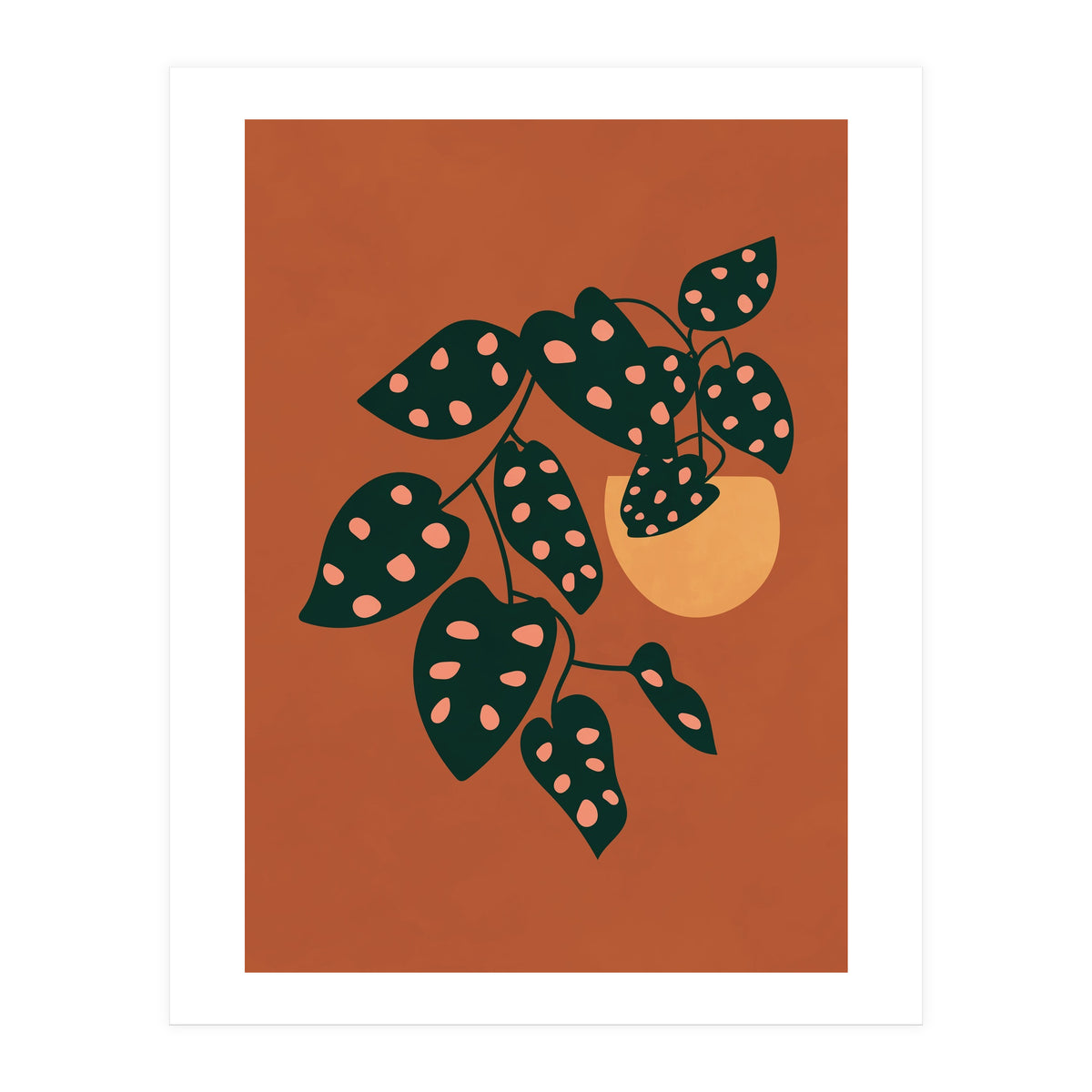 Monstera Adansonii (Print Only)