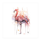 Flamingo - Wildlife Collection (Print Only) thumbnail